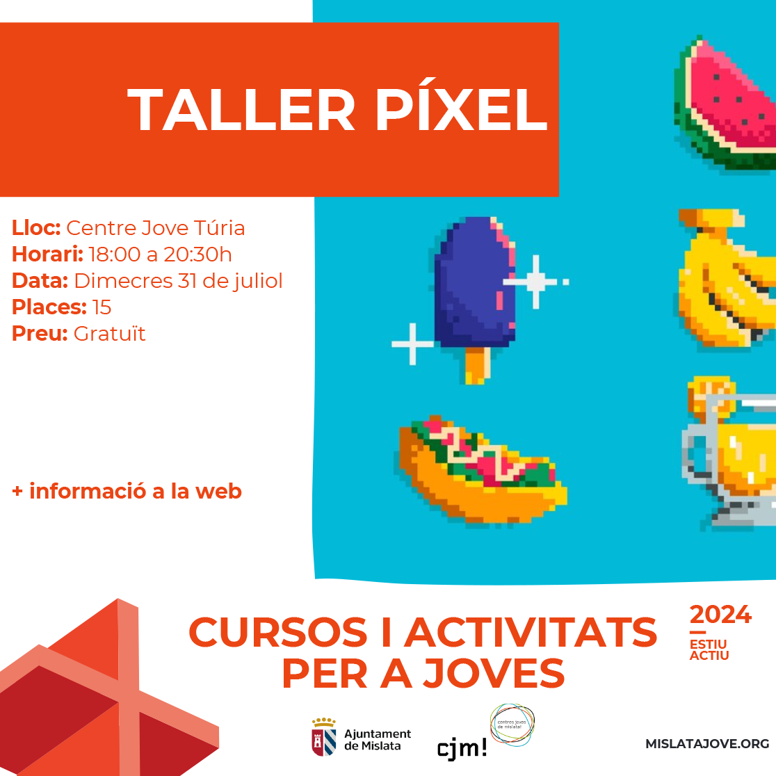 Taller píxel