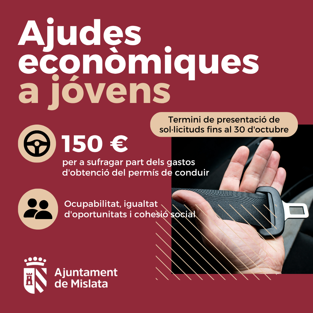 Ajudes carnet conduir